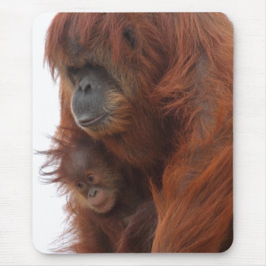Mama und Baby Orangutan Mousepad (Vorne)