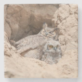 Mama und Baby Owl Stone Untersetzer (Vorderseite)