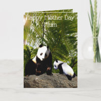 Mama und Baby Panda, Muttertag