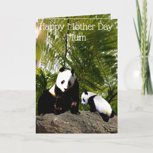 Mama und Baby Panda, Muttertag Karte (Vorderseite)