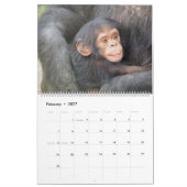 Mama- und Babykalender Kalender (Feb 2027)