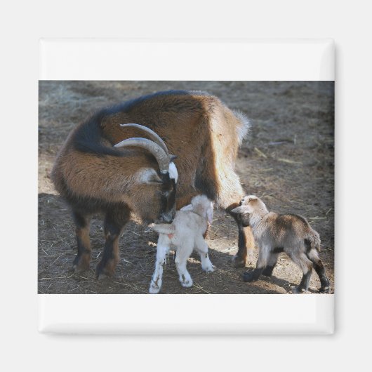 Mama und Babys Magnet (Vorne)