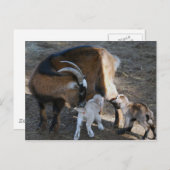 Mama und Babys Postkarte (Vorne/Hinten)