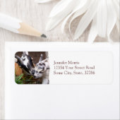 Mama und Babyziege (Insitu)