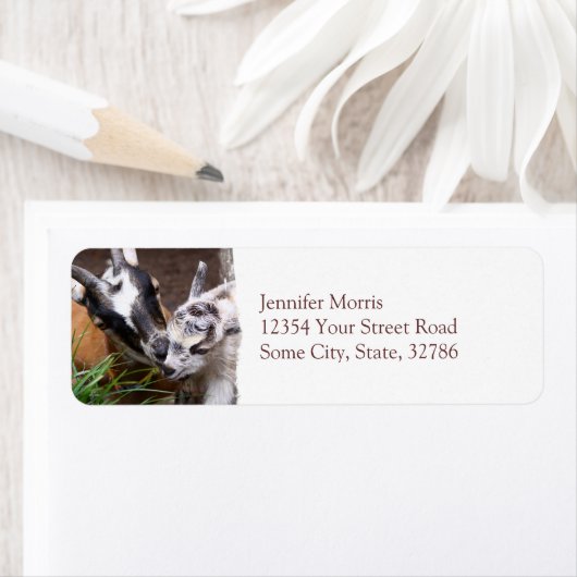 Mama und Babyziege (Insitu)