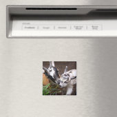 Mama und Babyziege Magnet (In Situ (Geschirrspüler))