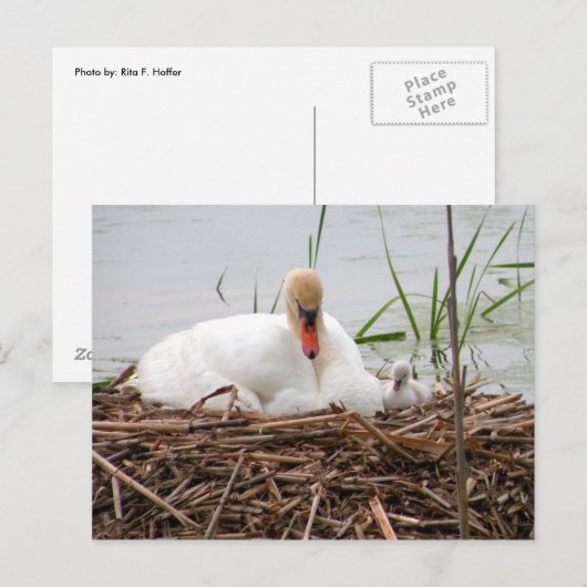 Mama und ich (2) Postkarte (Vorne/Hinten)