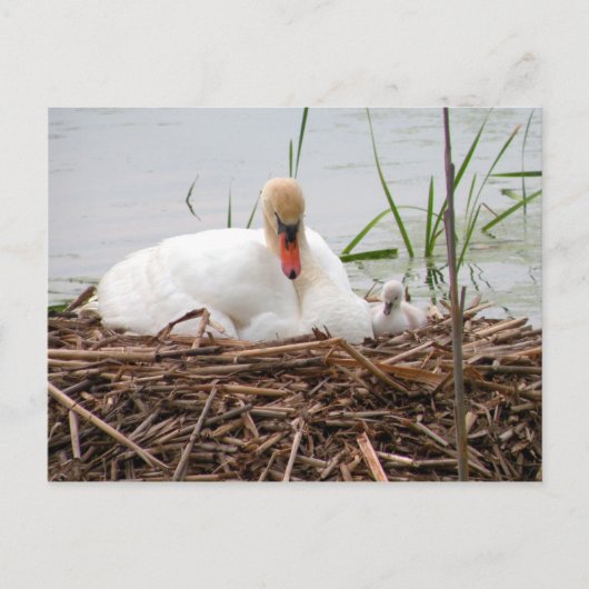 Mama und ich (2) Postkarte (Vorderseite)