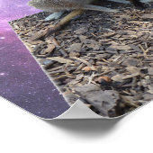 Mama und Jungtiere Meerkat, Poster (Ecke)