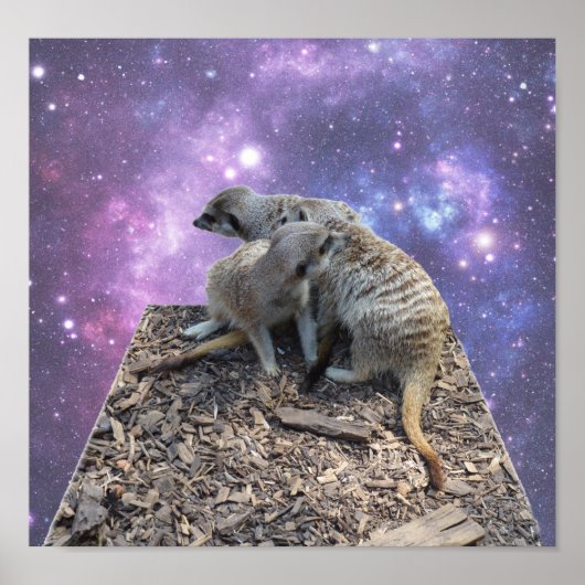Mama und Jungtiere Meerkat, Poster (Vorne)