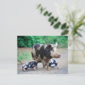 Mama und Kinder - Postkarte für Schweine (Stehend Vorderseite)