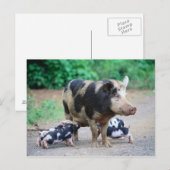 Mama und Kinder - Postkarte für Schweine (Vorne/Hinten)