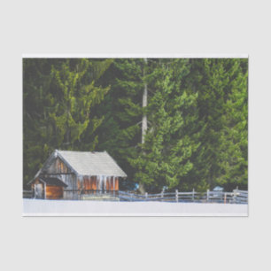 Mama- und Kinderställe, geschützt durch riesige Bä Seidenpapier