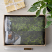 Mama- und Kinderställe, geschützt durch riesige Bä Seidenpapier (Geschenk)