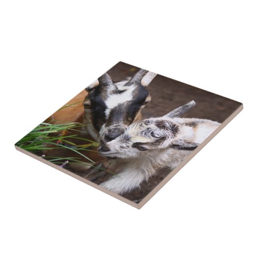 Mama und Kinderziege Fliese (Seite)