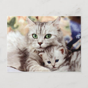 Mama und Sohn Postkarte
