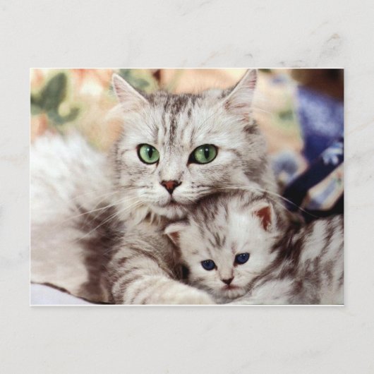 Mama und Sohn Postkarte (Vorderseite)