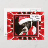 Mama verkleidete mich, froh Freakin' Weihnachten (Vorne/Hinten)