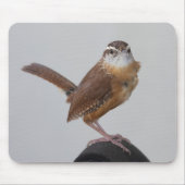 Mama Wren Mousepad (Vorne)