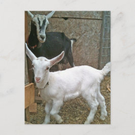 Mama Zoe mit Little Daisy Postcard Postkarte