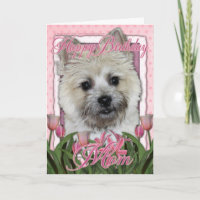 Mama zum Geburtstag - Cairn Terrier - Teddy Bear