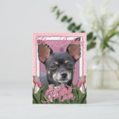 Mama zum Geburtstag - Chihuahua - Isabella Postkarte (Stehend Vorderseite)