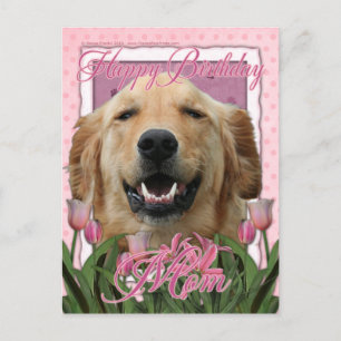 Mama zum Geburtstag - Golden Retriever - Mickey Postkarte