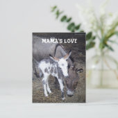 Mamas Liebe Post Card Postkarte (Stehend Vorderseite)