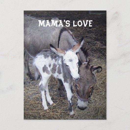 Mamas Liebe Post Card Postkarte (Vorderseite)