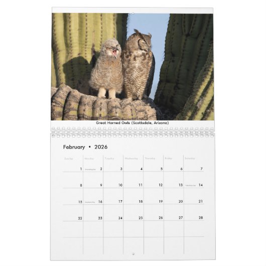 Mamas & Little Ones: A 2026 Wildlife Calendar Kalender (Feb 2026)
