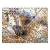 Mamas & Little Ones: A 2026 Wildlife Calendar Kalender (Titelbild)