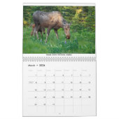 Mamas & Little Ones: A 2026 Wildlife Calendar Kalender (Mär 2026)