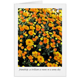 Mamas (Nr. 0732)