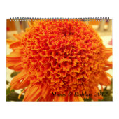 Mamas u. Dahlien 2012 Kalender (Titelbild)