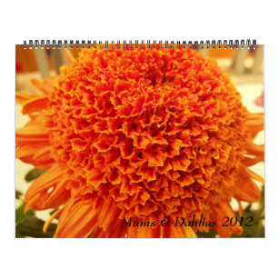 Mamas u. Dahlien 2012 Kalender