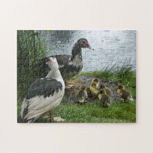 Mamas und Ducklings Puzzle (Horizontal)