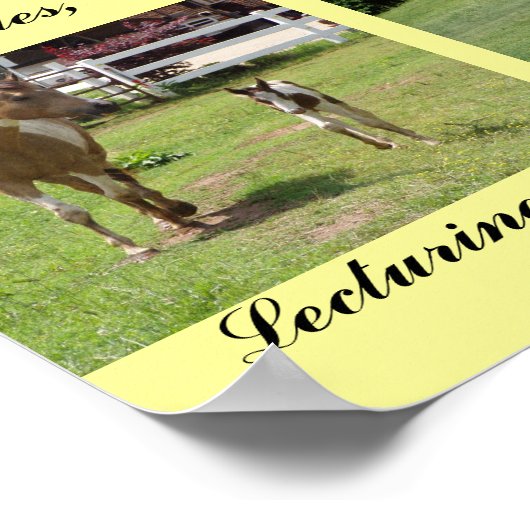 Mamas und Säuglinge Poster (Ecke)