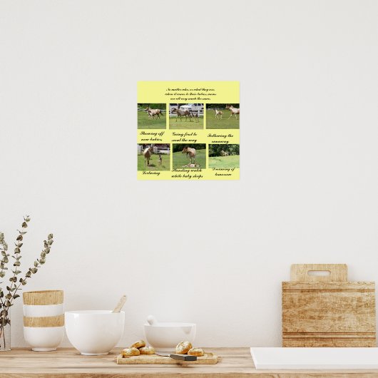 Mamas und Säuglinge Poster (Küche)