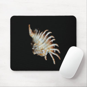 Mambeda Lambis Muschel Spider Mousepad