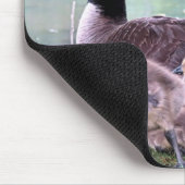 Mamma Gänse und Babies Mousepad (Ecke)