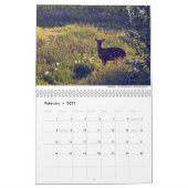 Mammals 2021 Kalender von Chris Milligan (Feb 2027)