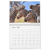 Mammals 2021 Kalender von Chris Milligan (Jan 2027)