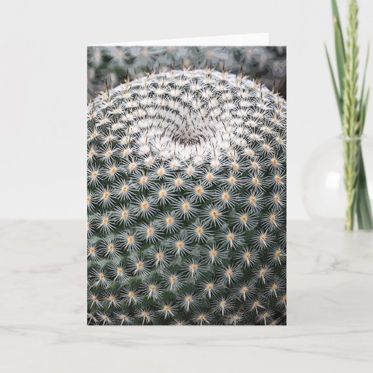 Mammillaria elegans notecard karte (Vorderseite)