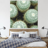 Mammillaria hahniana leinwanddruck (Insitu (Schlafzimmer))