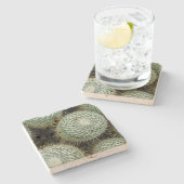 Mammillaria hahniana steinuntersetzer (Seitenansicht)