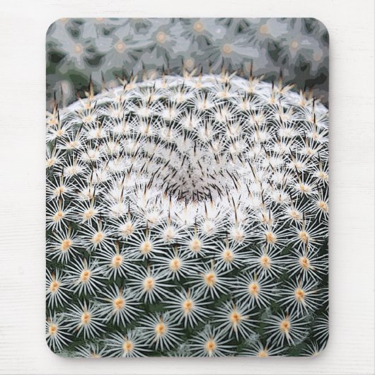 Mammillaria mousepad (Vorne)