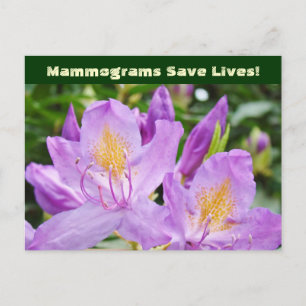 Mammogramme Rettete Leben! Postkarten Blume