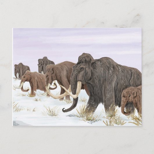 Mammoth Family Postcard Postkarte (Vorderseite)