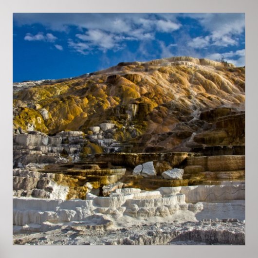 Mammoth Hot Spring Poster (Vorne)