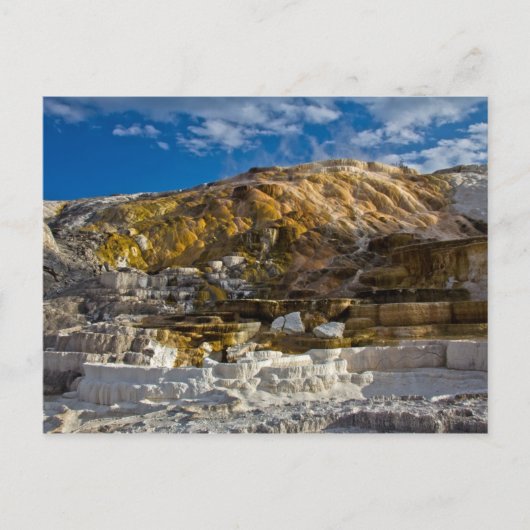 Mammoth Hot Spring Postkarte (Vorderseite)